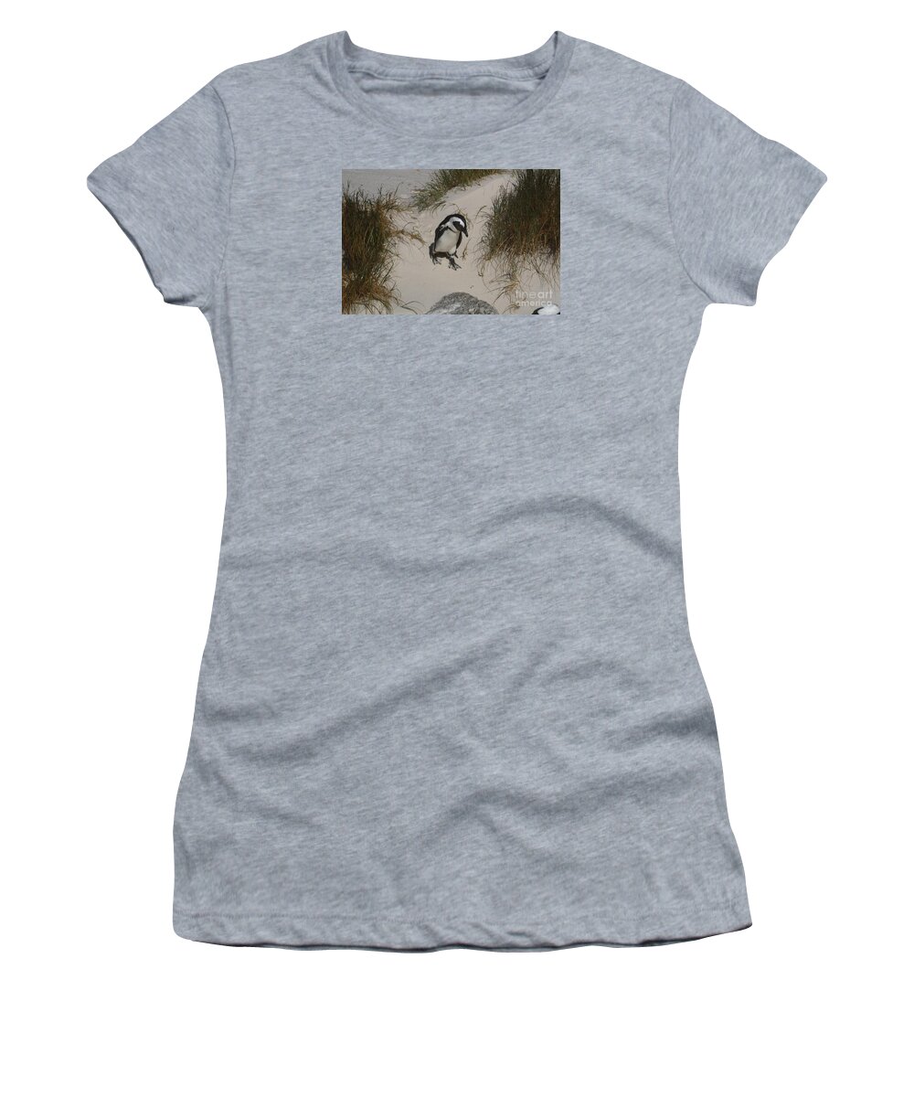 African Penguin Women's T-Shirt featuring the photograph African Penguin on a Mission by Bev Conover