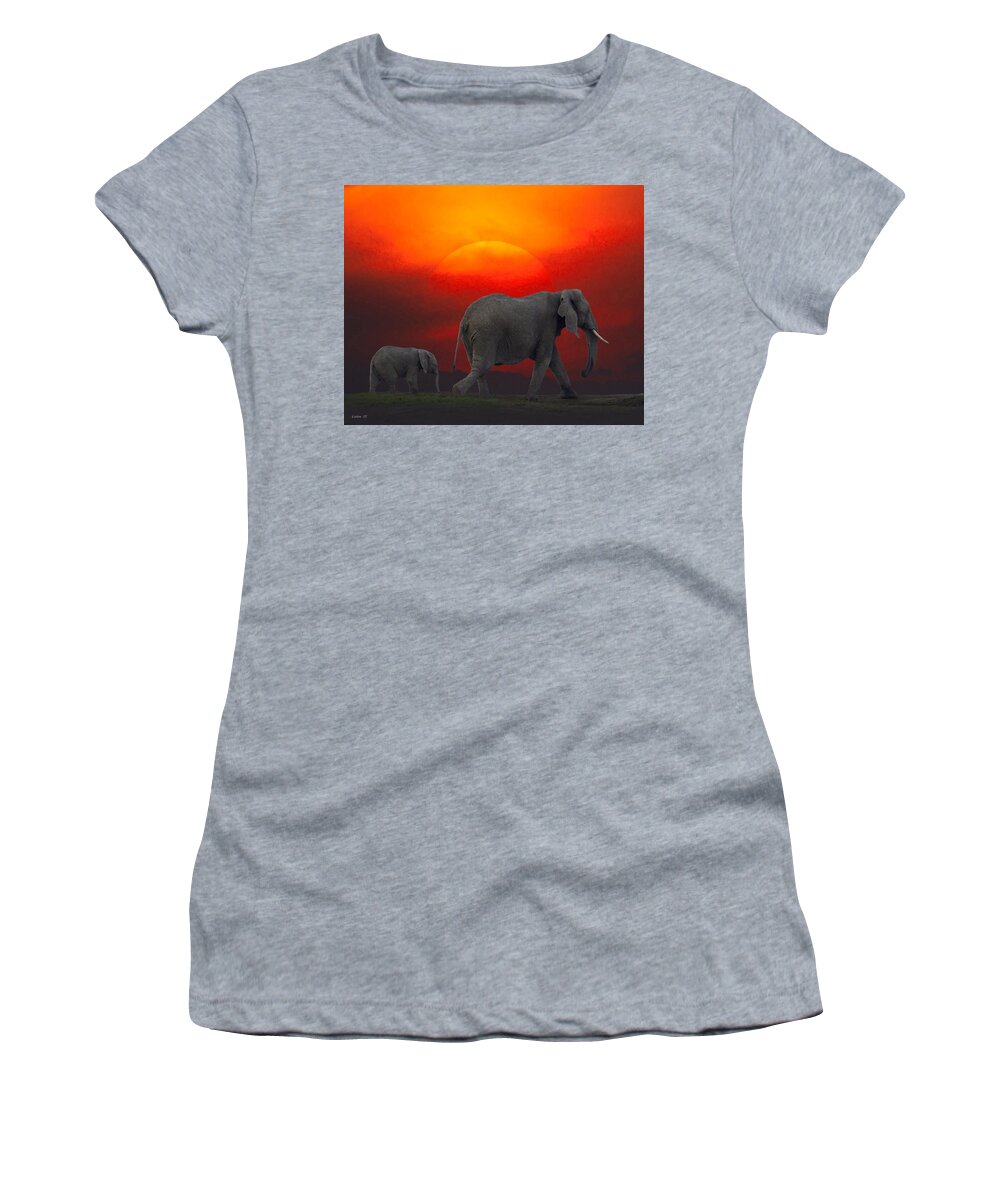 African Sunset Women's T-Shirt featuring the photograph African Sunset 2 by Larry Linton