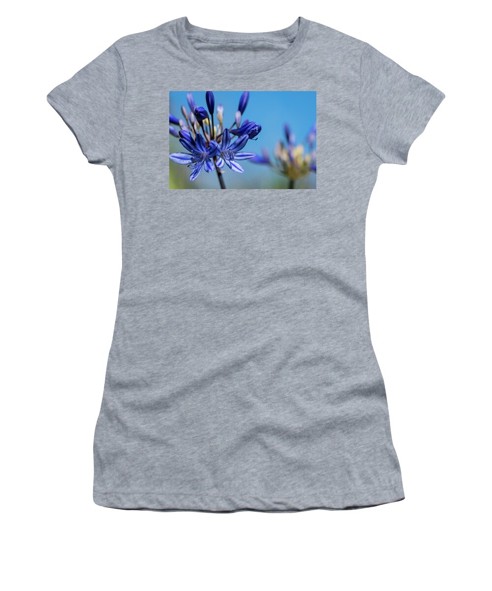 Agapanthus Women's T-Shirt featuring the photograph Agapanthus by Robert Potts