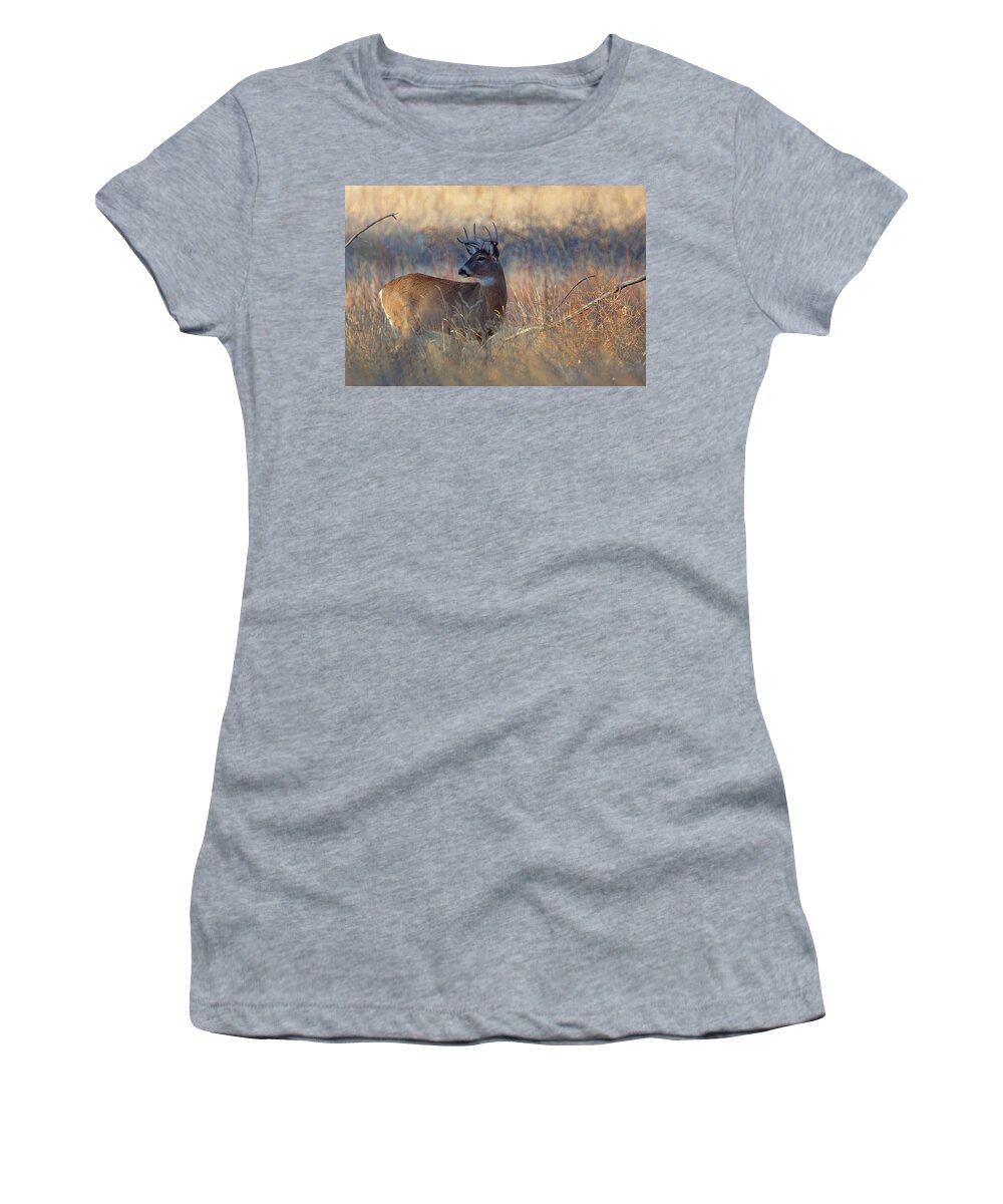 Deerdeer Women's T-Shirt featuring the photograph Alarm by Jim Garrison
