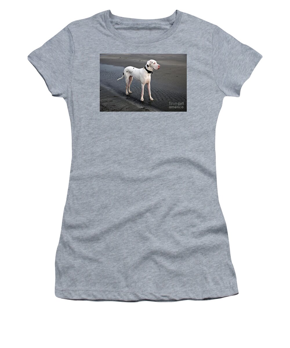 Animal Women's T-Shirt featuring the photograph Albino Great Dane by Inga Spence