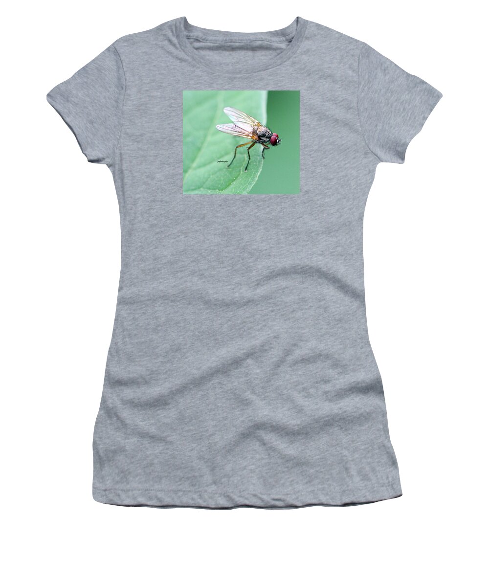 Insects Women's T-Shirt featuring the photograph All Eyes by Jennifer Robin