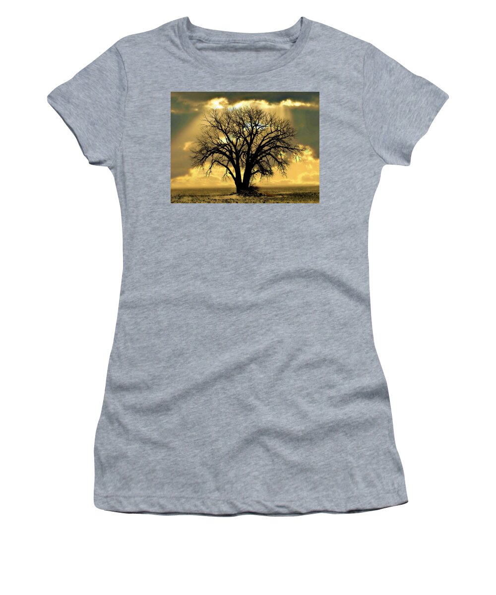 Tree Women's T-Shirt featuring the photograph All that Remains by Julie Hamilton