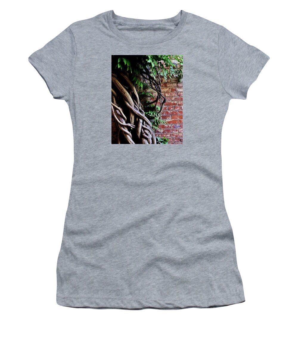 Vines And Bricks Women's T-Shirt featuring the photograph Alley Vines by Michael Ramsey