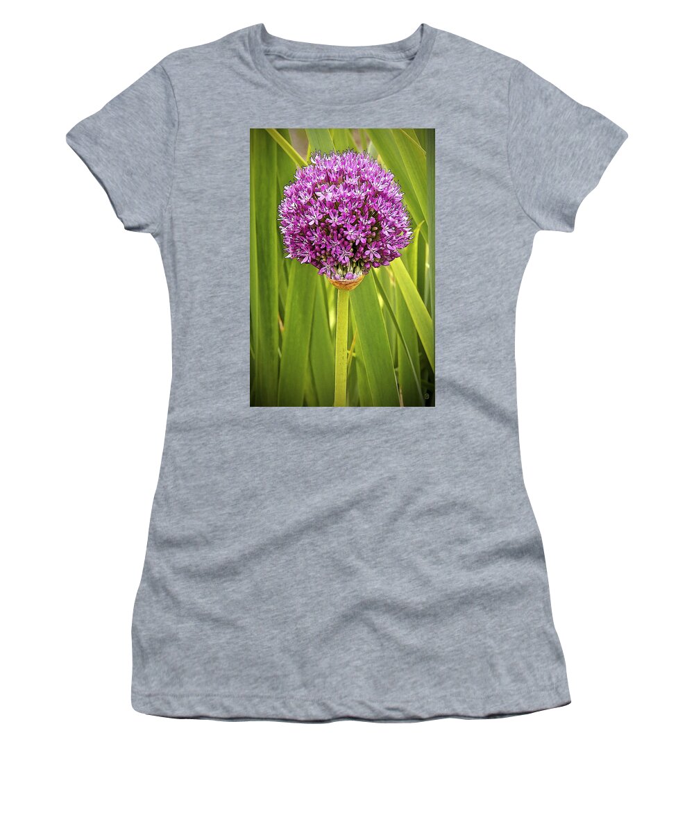 Flower Women's T-Shirt featuring the digital art Allium 2 by Gary Olsen-Hasek