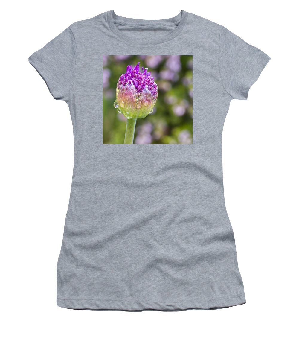 Allium Women's T-Shirt featuring the photograph Allium Bud by Diane Fifield