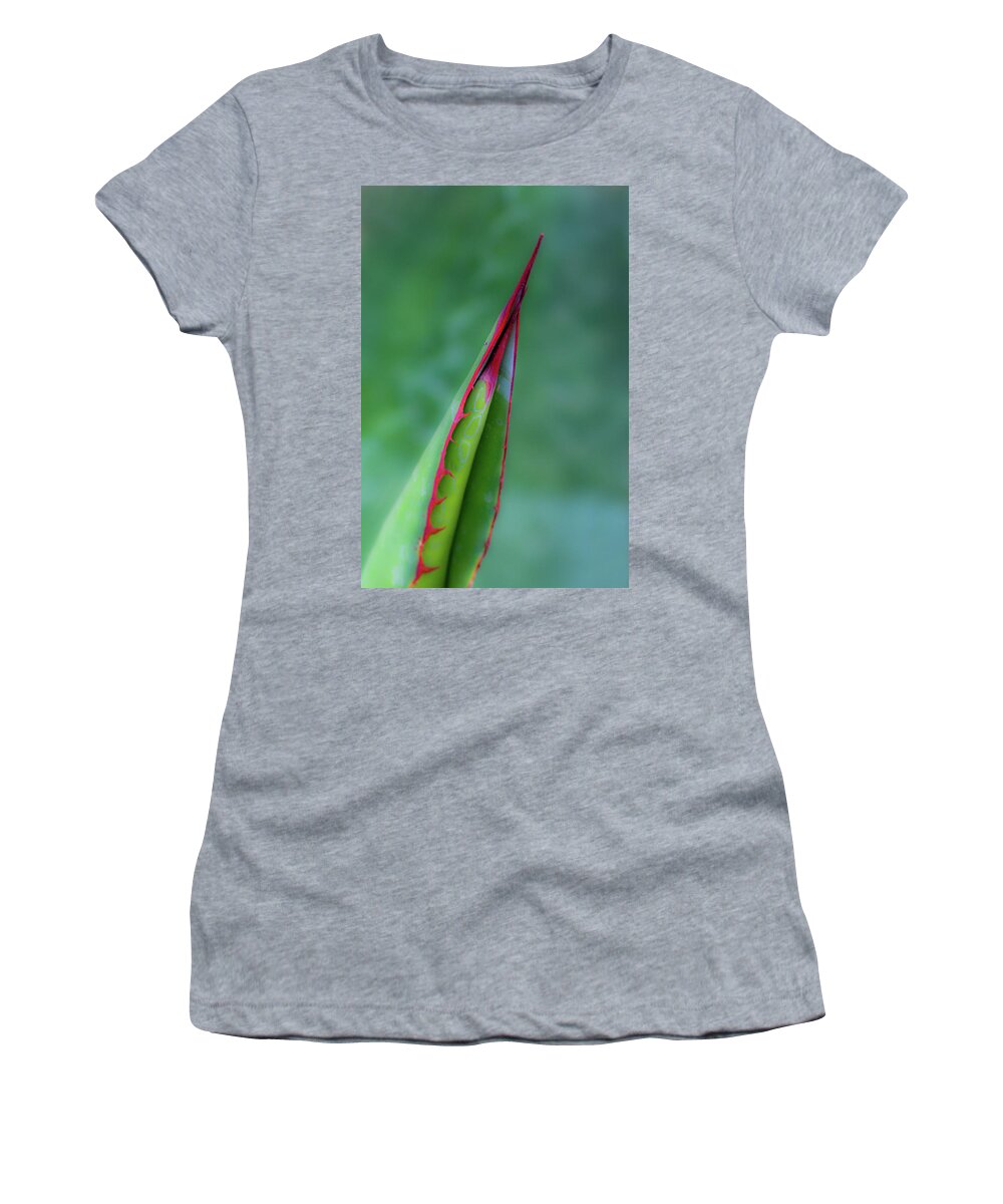 Aloe Women's T-Shirt featuring the photograph Aloe 7110-042418-1 by Tam Ryan