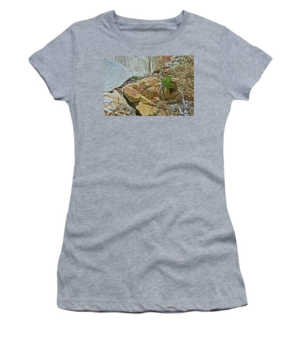 Aloe On The Rocks Near Lighthouse In Point Reyes National Seashore Women's T-Shirt featuring the photograph Aloe on the Rocks near Lighthouse in Point Reyes National Seashore, California by Ruth Hager