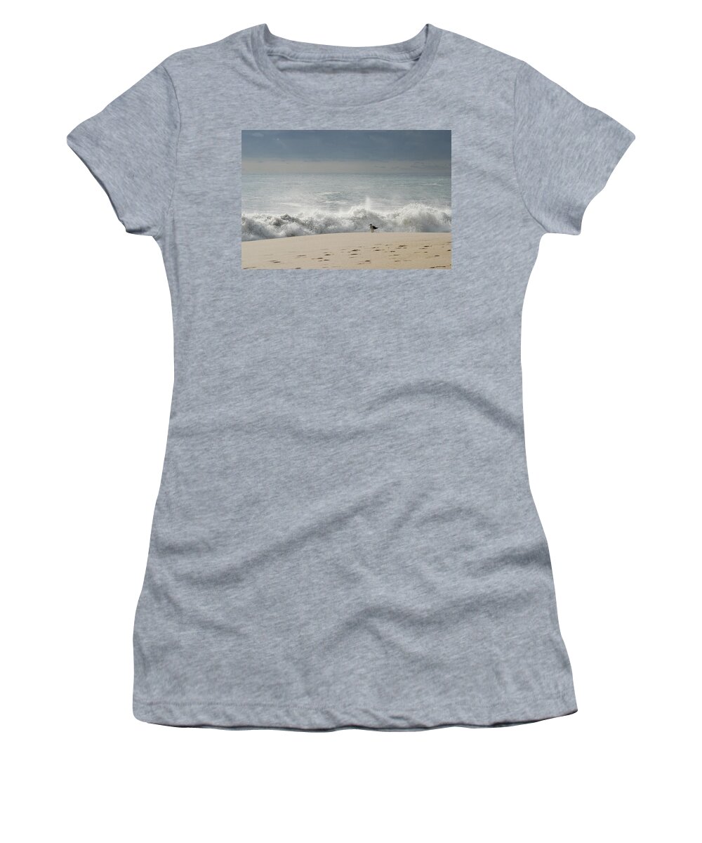 Jersey Shore Women's T-Shirt featuring the photograph Alone - Jersey Shore by Angie Tirado