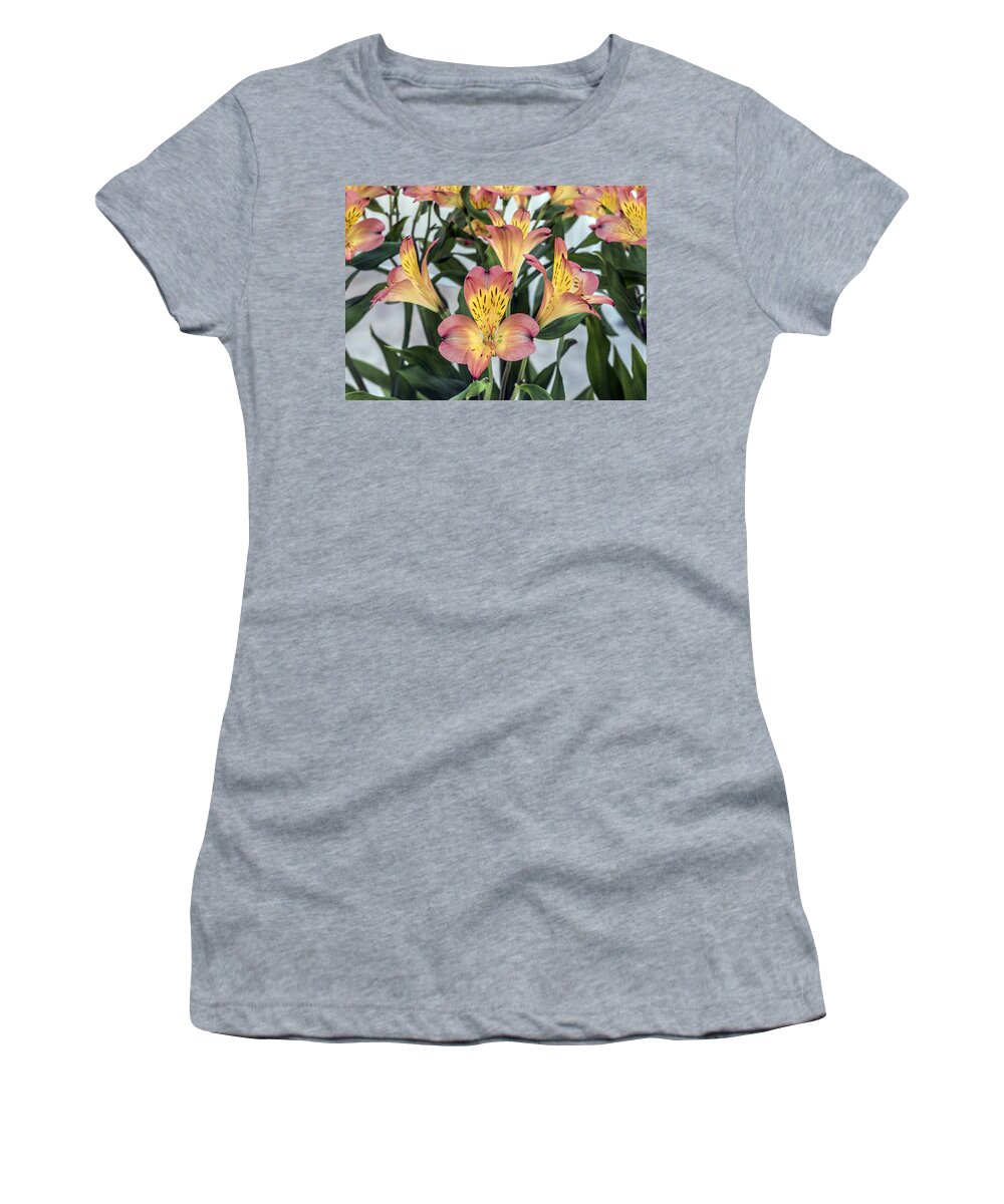 Flower Women's T-Shirt featuring the photograph Alstroemeria Blossoms by William Bitman