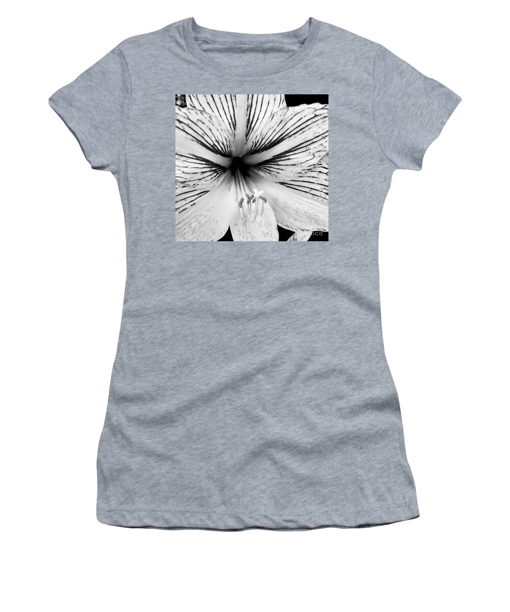 Amaryllis Women's T-Shirt featuring the digital art Amaryllis Black and White by D Hackett
