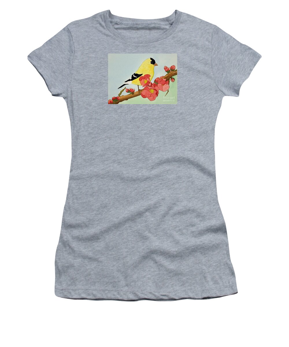 Bird Women's T-Shirt featuring the painting American Goldfinch by Norma Appleton