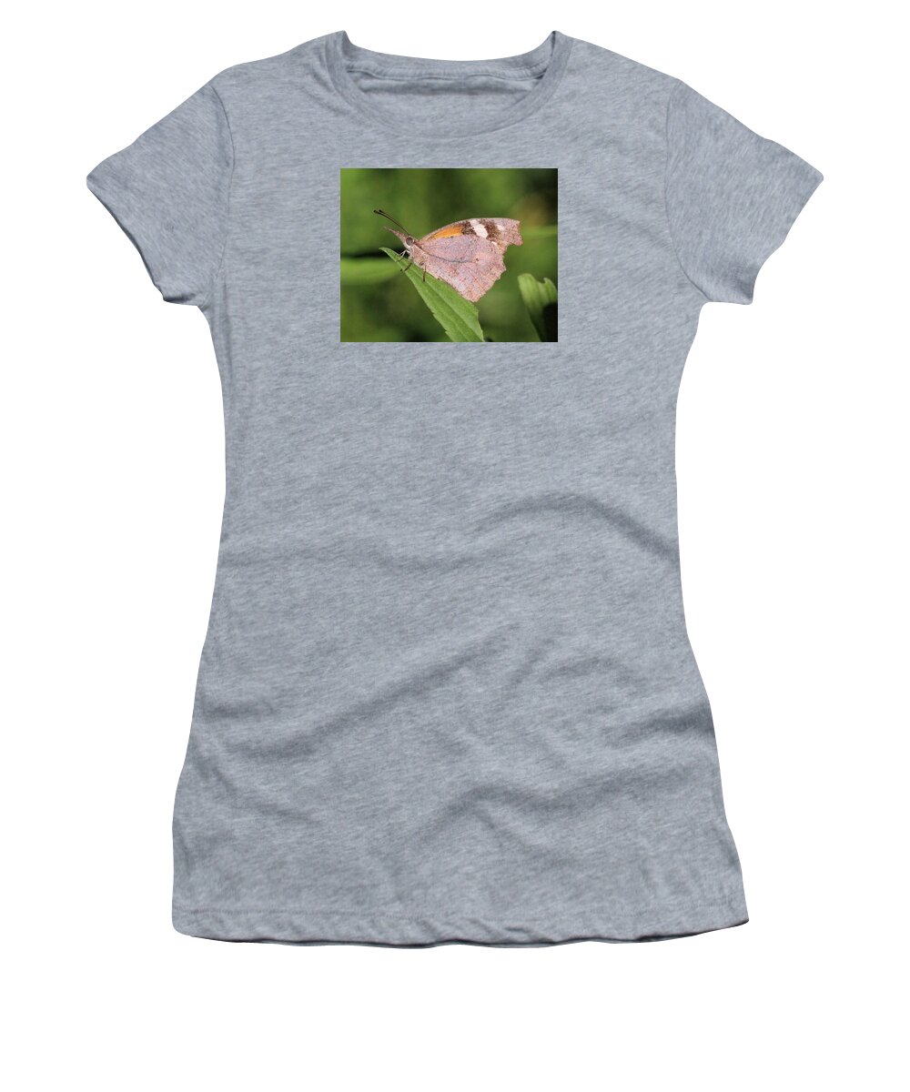 Libytheana Carinenta Women's T-Shirt featuring the photograph American Snout by Doris Potter