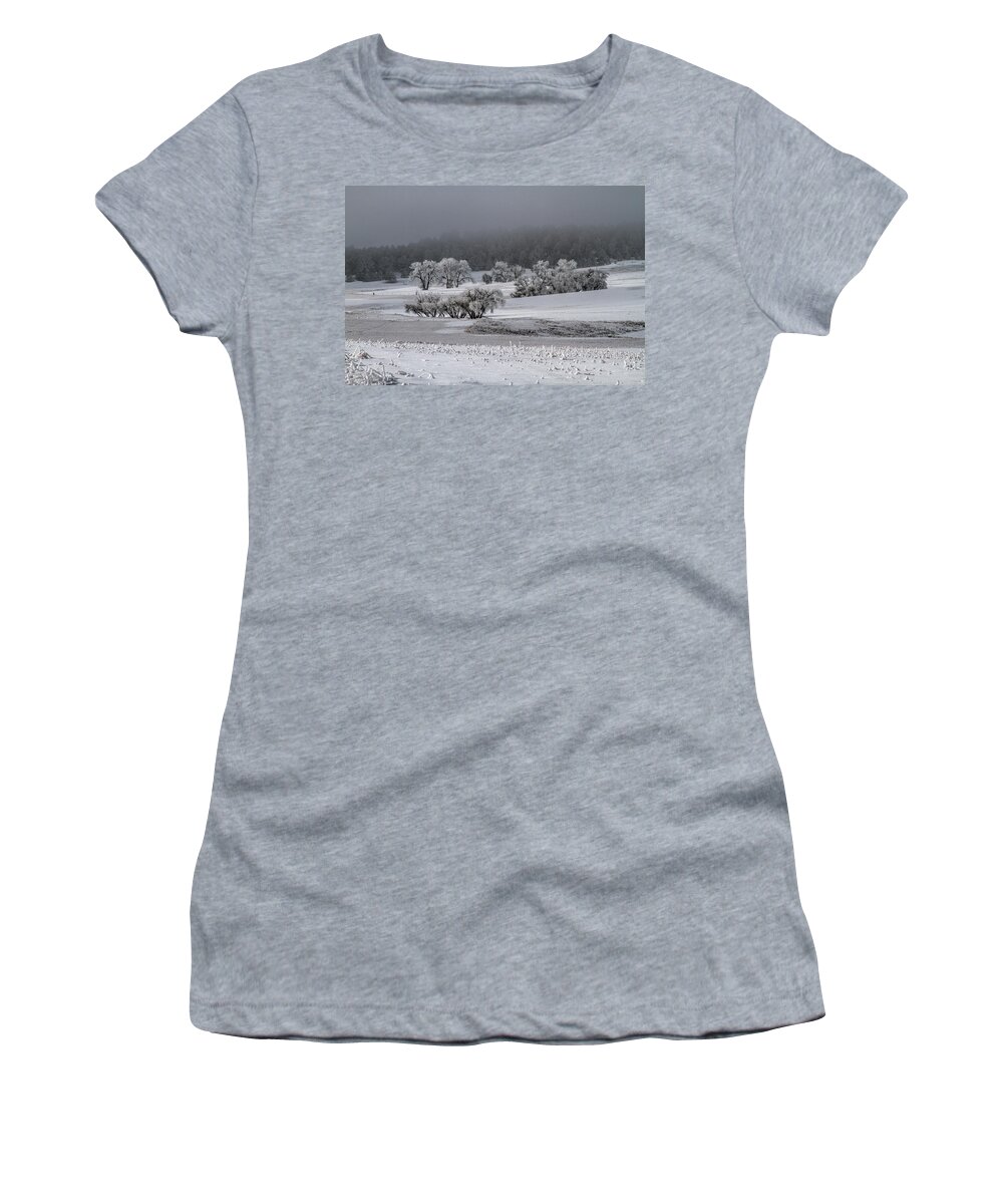 Winter Women's T-Shirt featuring the photograph An Affair of Cottonwoods by Alana Thrower