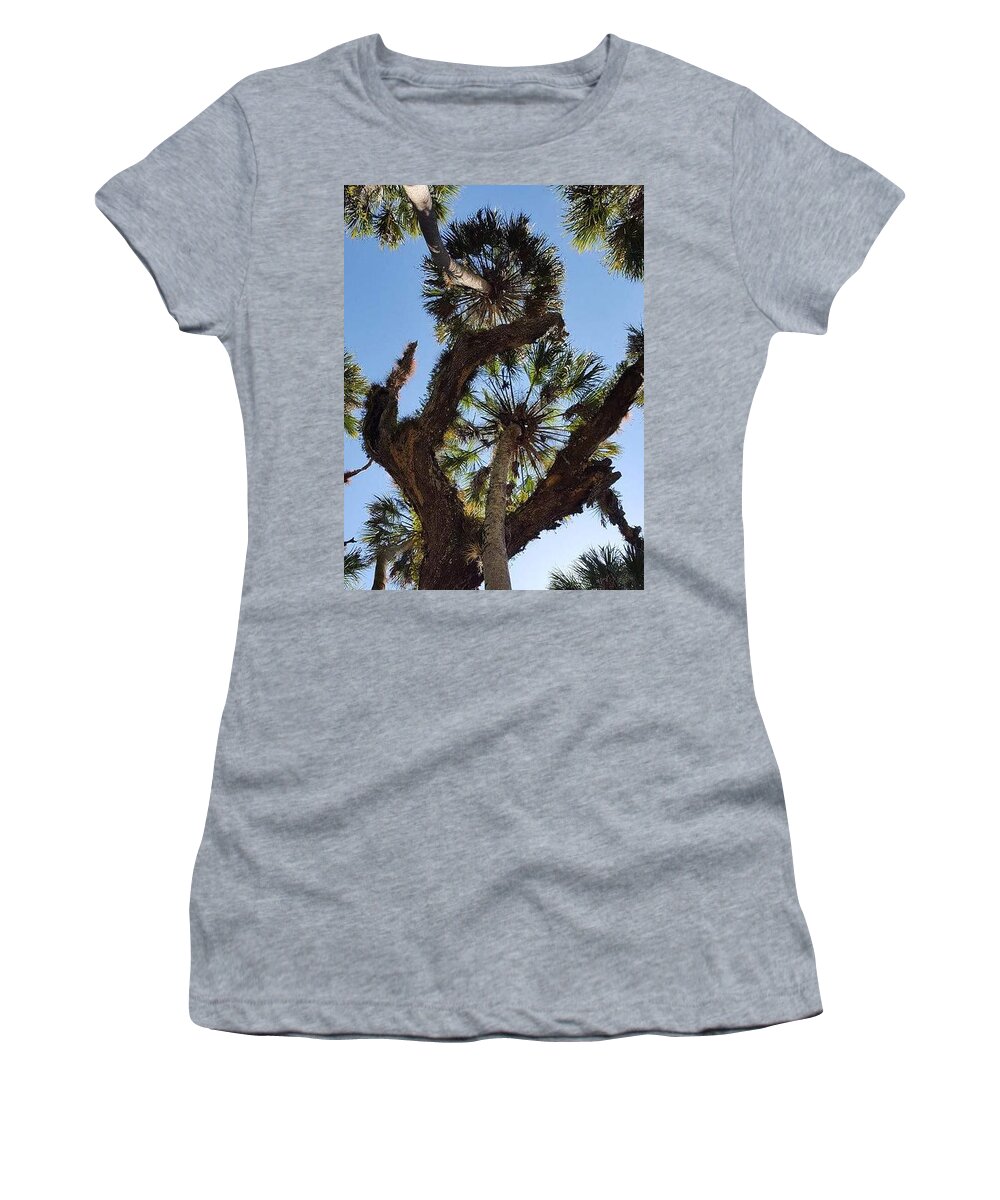 Trees Women's T-Shirt featuring the photograph An ants eye view by Lindsey Floyd