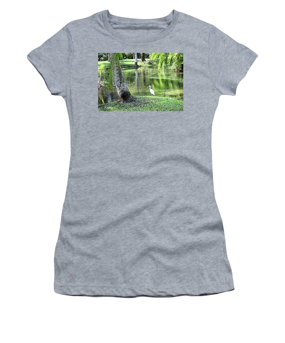 American Ibis Women's T-Shirt featuring the photograph An Ibis Paradise by Kristin Elmquist