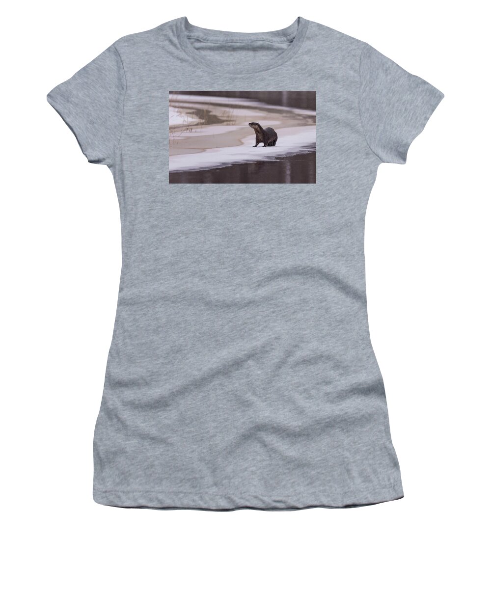 Otter Women's T-Shirt featuring the photograph An Icy Playground by Jody Partin