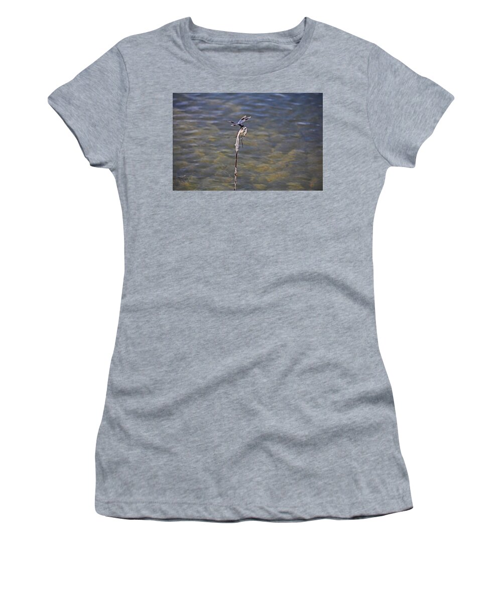 Dragonfly Women's T-Shirt featuring the photograph An Opportune Moment by Michiale Schneider