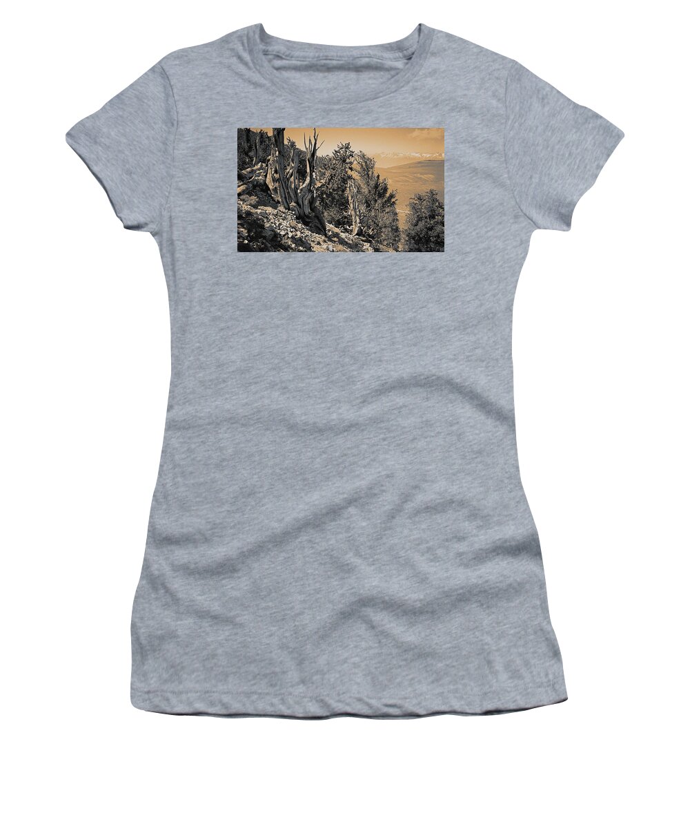 Bristlecone Pine Women's T-Shirt featuring the photograph Ancient Bristlecone Pine Tree, Composition 10 sepia toned, Inyo National Forest, California by Kathy Anselmo