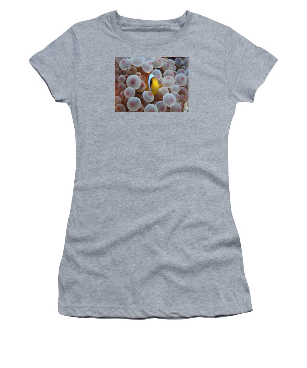 Fish Women's T-Shirt featuring the photograph Anemone Fish II by Brian Balagula