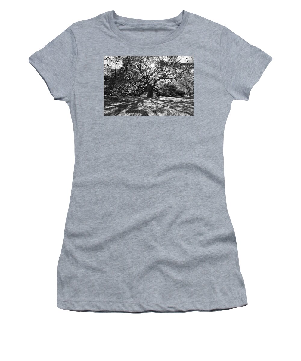 South Carolina Women's T-Shirt featuring the photograph Angel Oak Starbusrt by Nancy Dunivin