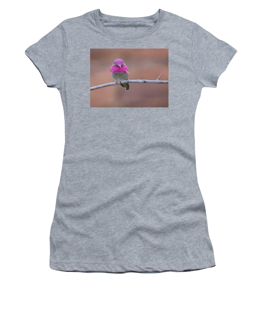 Anna's Women's T-Shirt featuring the photograph Anna's Hummingbird 3717 by Tam Ryan
