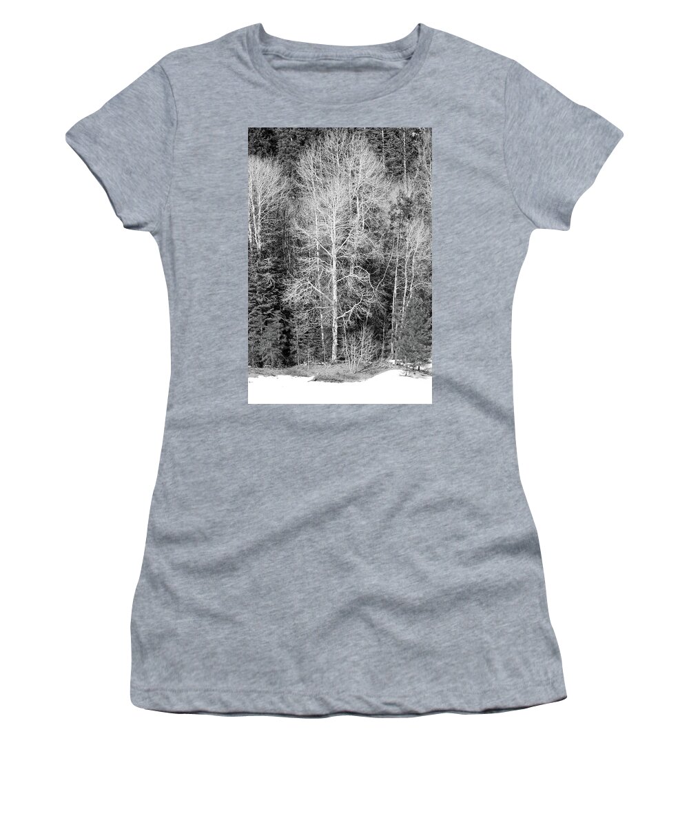 Annie Creek Women's T-Shirt featuring the photograph Annie Creek Aspens by Dr Janine Williams