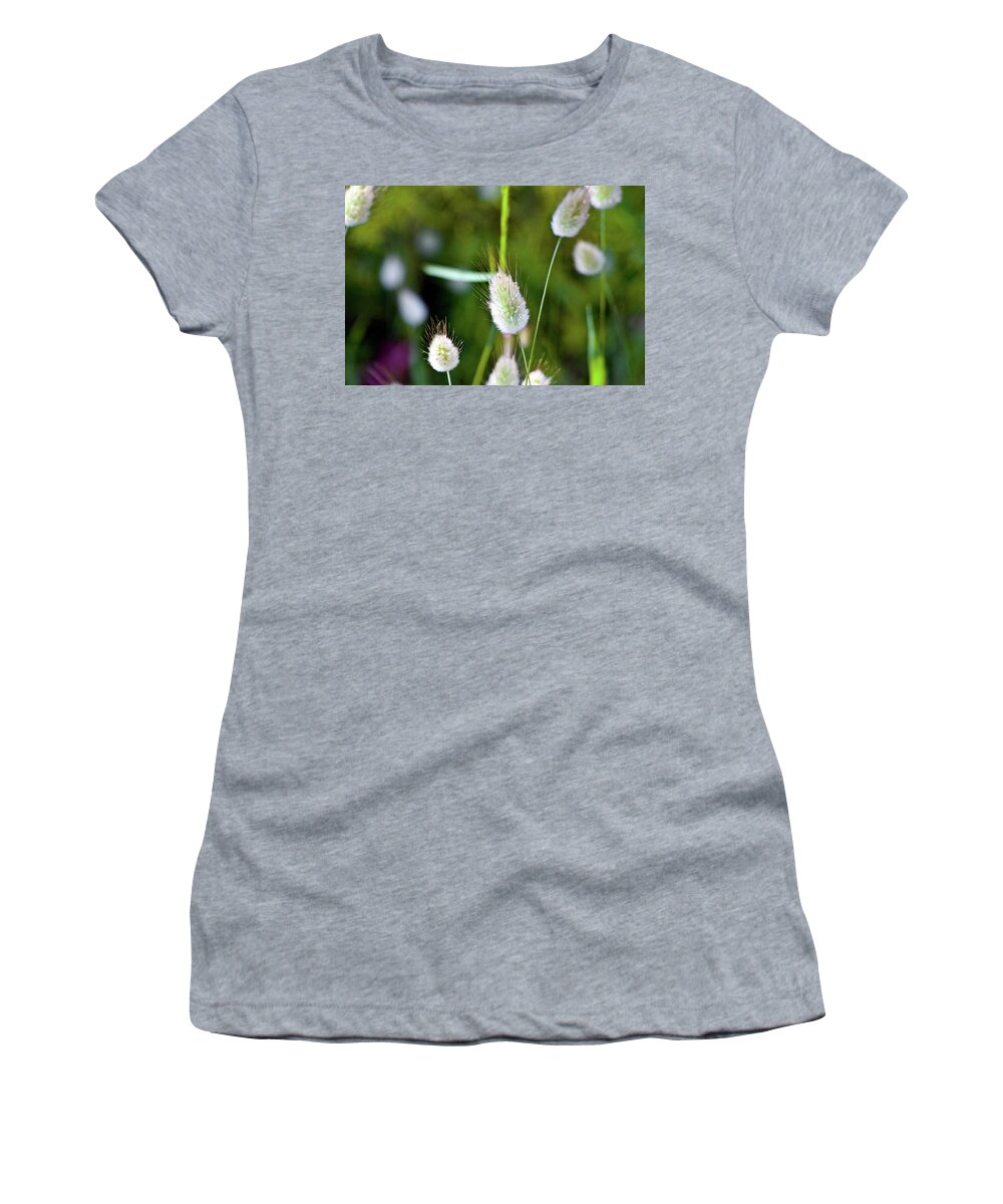 Hare's Tail Women's T-Shirt featuring the photograph Hare's Tail Grass by Miroslava Jurcik