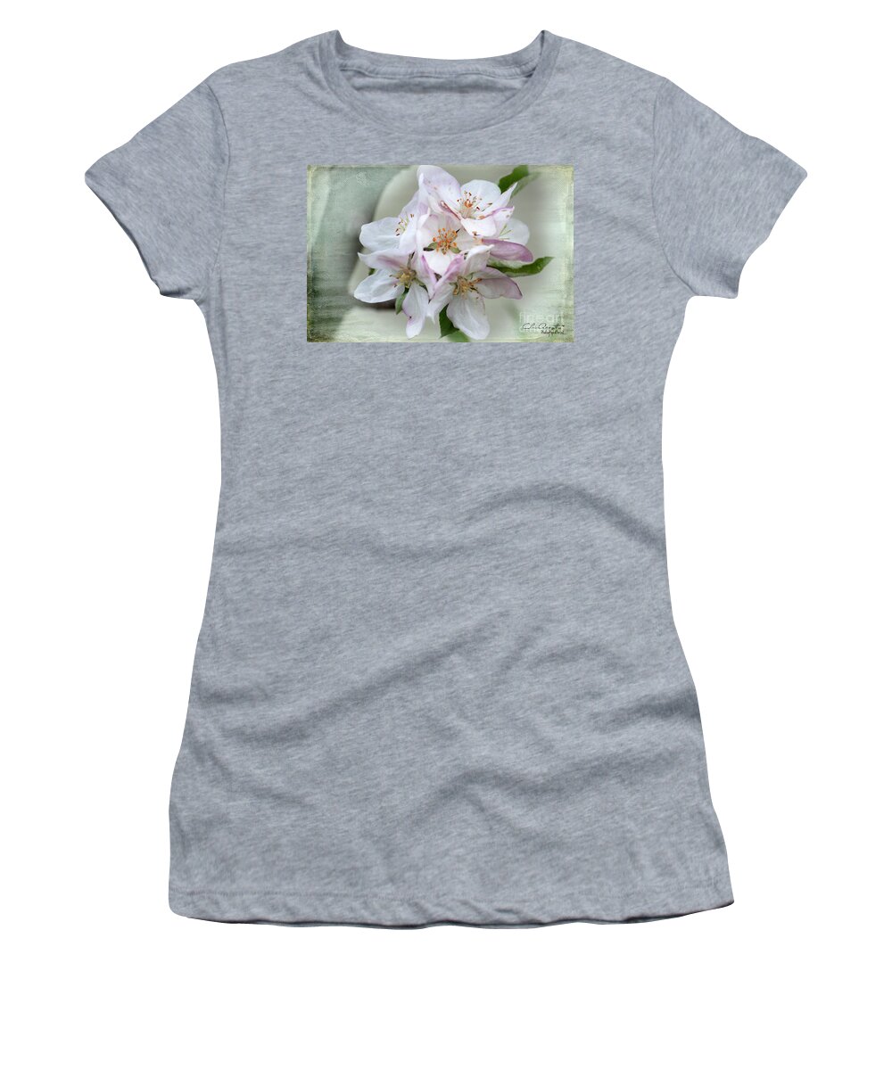Apple Blossoms Women's T-Shirt featuring the photograph Apple Blossoms from my Hepburn Garden by Chris Armytage