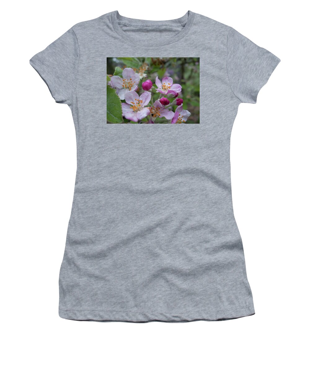 Flower Women's T-Shirt featuring the photograph Apple Blossoms by Noa Mohlabane