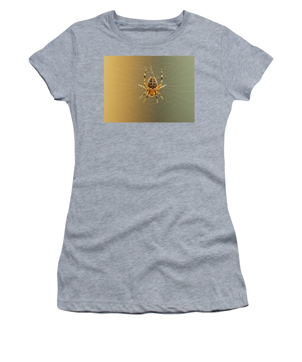 Spider Women's T-Shirt featuring the photograph Araneus diadematus by Morgan Wright