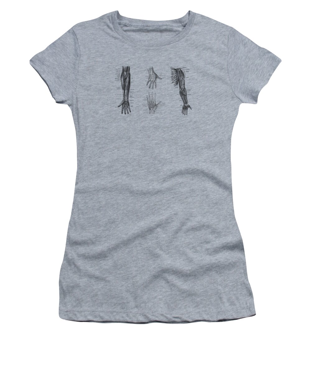 Arm Anatomy Women's T-Shirt featuring the drawing Complete Arm and Hand Diagram - Vintage Anatomy Print by Vintage Anatomy Prints