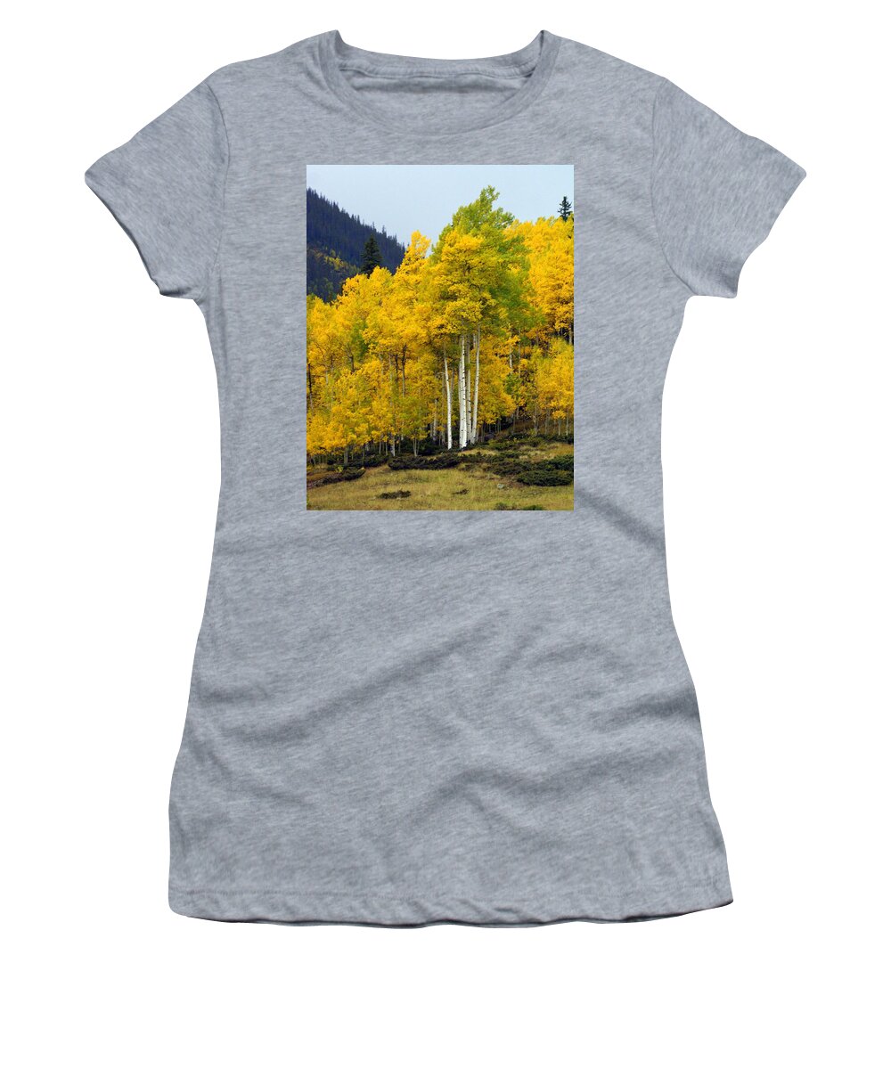 Fall Colors Women's T-Shirt featuring the photograph Aspen Fall 3 by Marty Koch