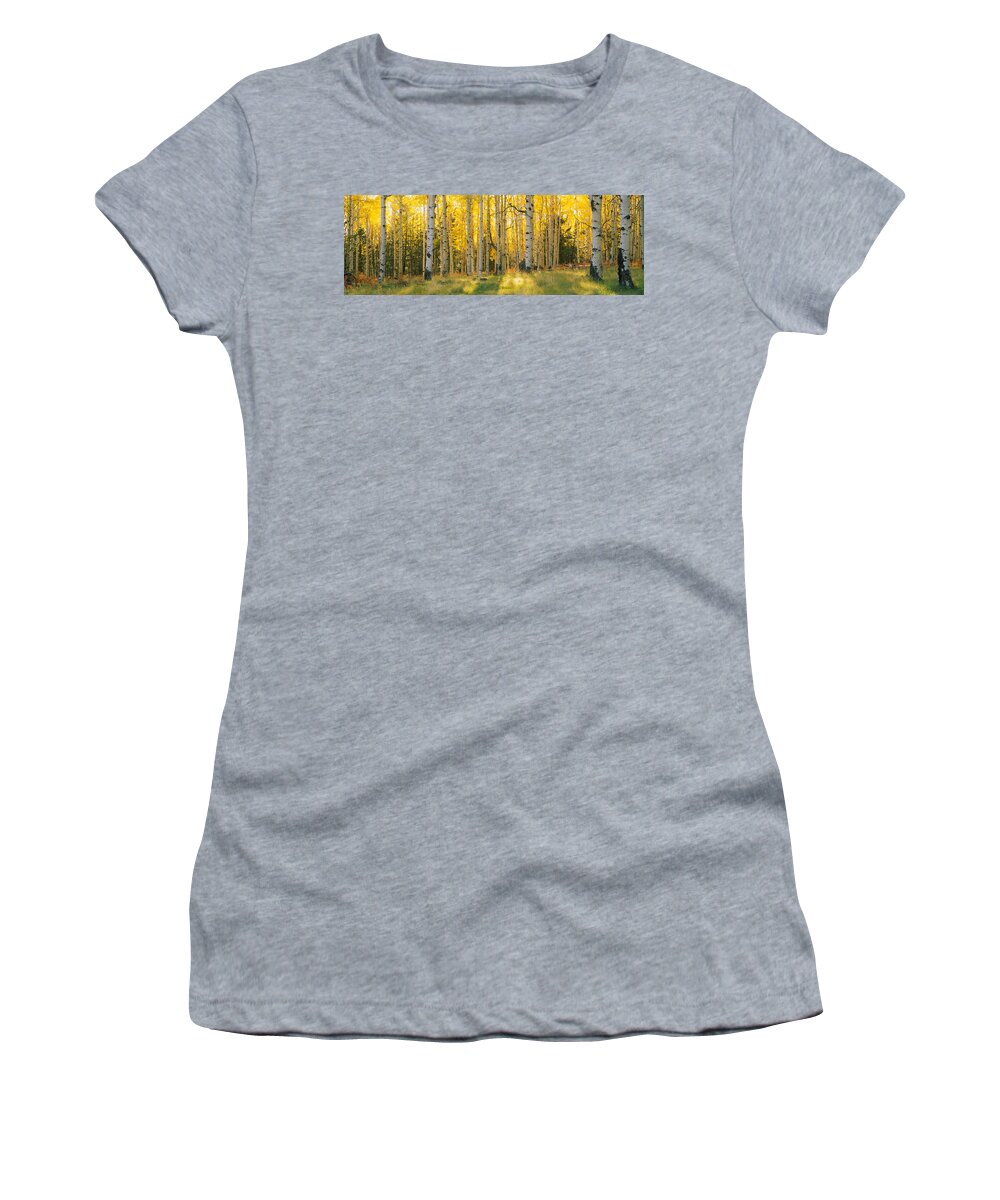 Photography Women's T-Shirt featuring the photograph Aspen Trees In A Forest, Coconino by Panoramic Images