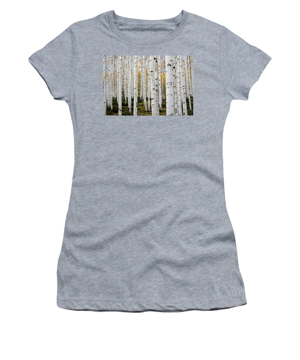 Aspen Women's T-Shirt featuring the photograph Aspens And Gold by Stephen Holst