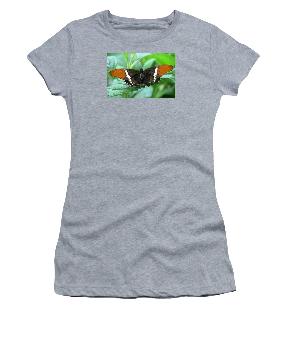 Butterflies Women's T-Shirt featuring the photograph At Rest by Angela Davies