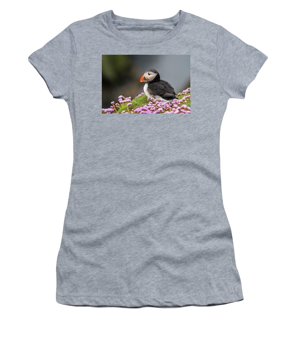 Atlantic Puffin Women's T-Shirt featuring the photograph Atlantic puffin by Arterra Picture Library