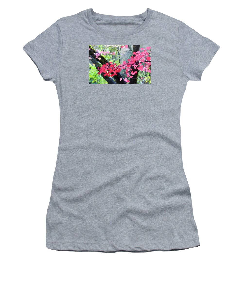 Red Maple Leaves Women's T-Shirt featuring the photograph Auburn Maples in Fall by Gus McCrea