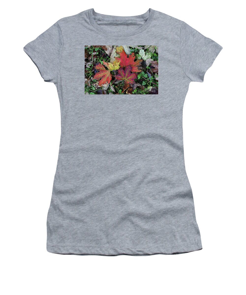 Diane Berry Women's T-Shirt featuring the drawing Autumn Colors by Diane E Berry