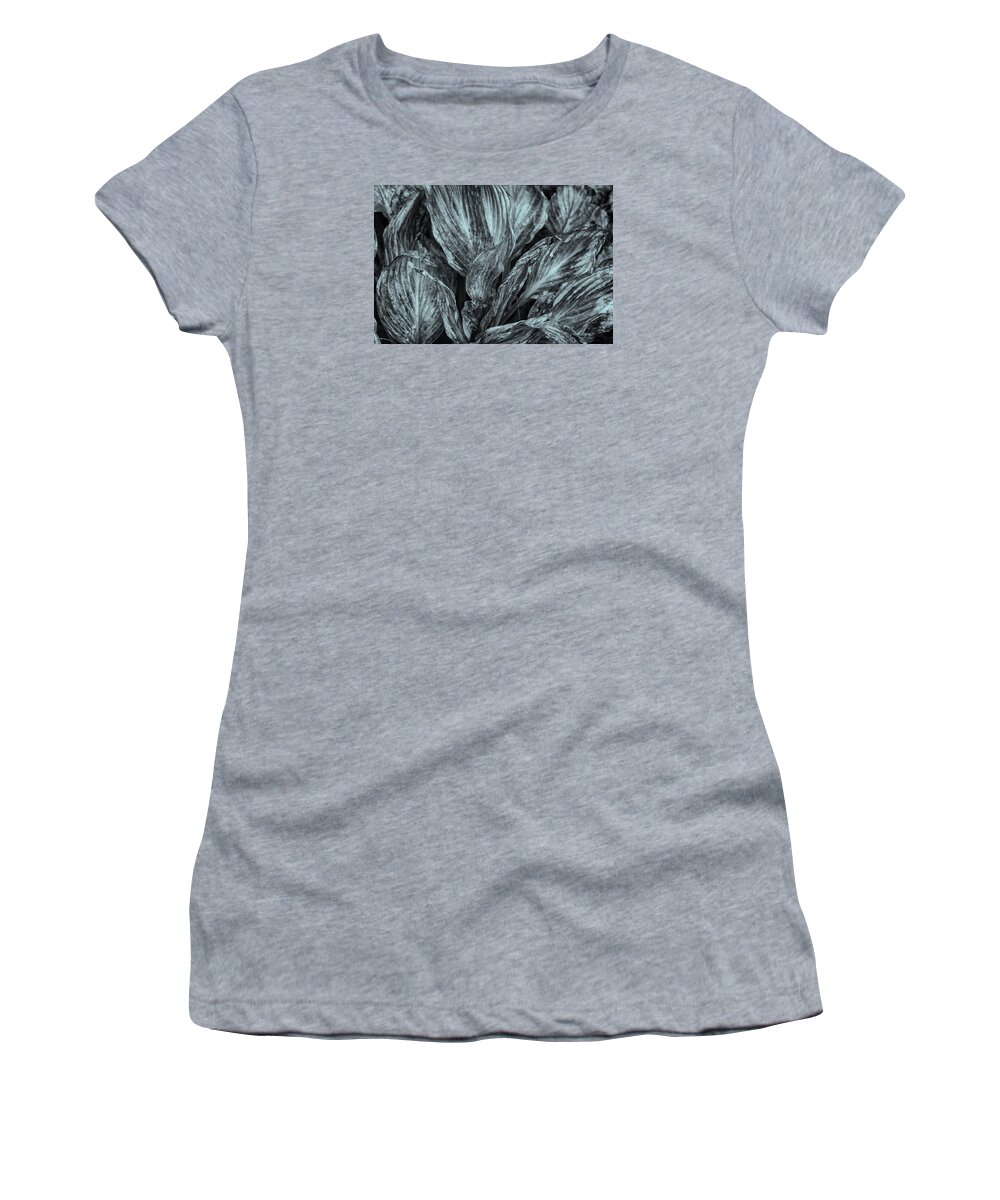 Cone Flowers Women's T-Shirt featuring the photograph Autumn Hostas In Black and White by Tom Singleton