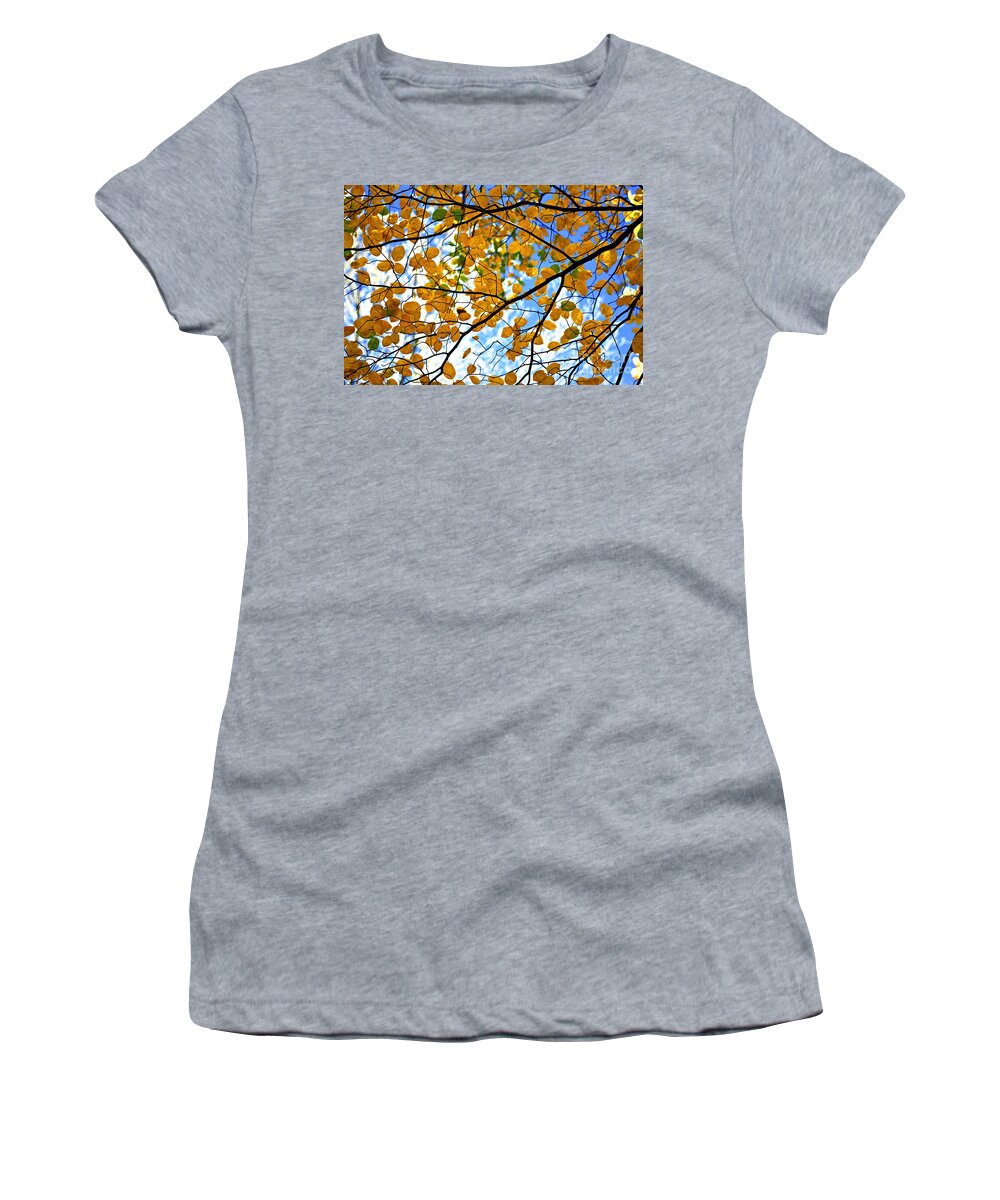 Fall Women's T-Shirt featuring the photograph Autumn tree branches by Elena Elisseeva
