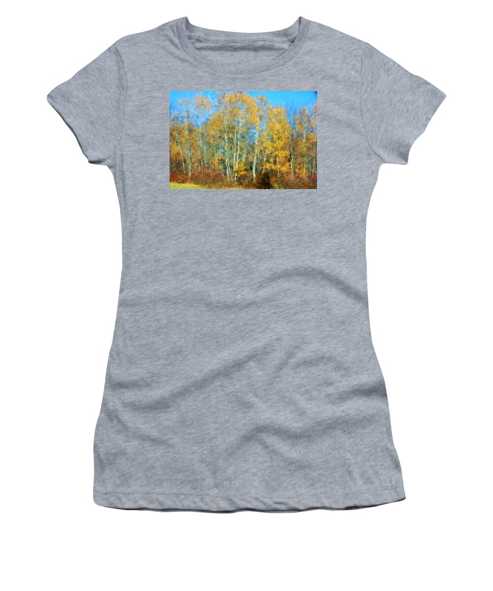  Women's T-Shirt featuring the photograph Autumn woodlot by David Lane