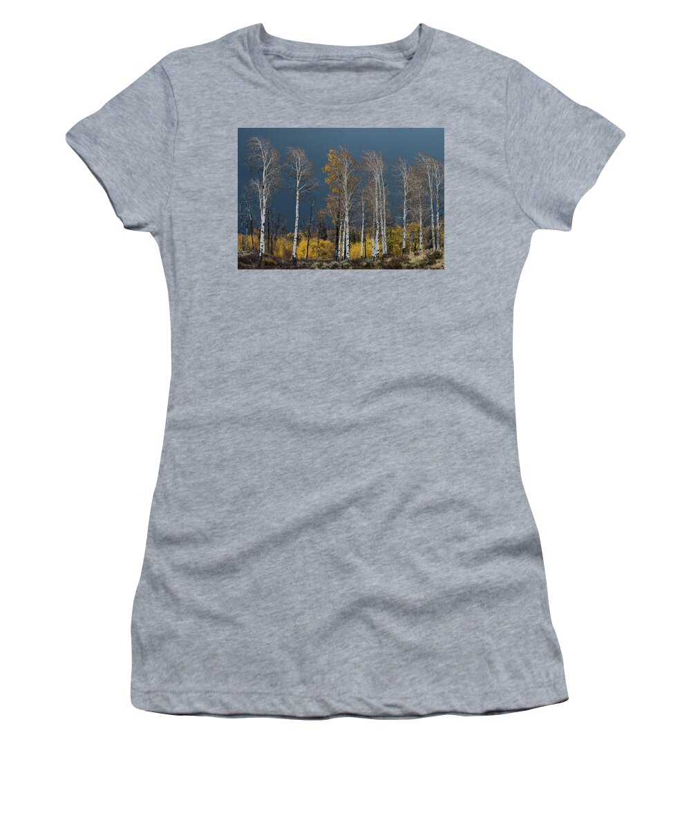 Tree Women's T-Shirt featuring the photograph Autumn's Last Effort by Jody Partin