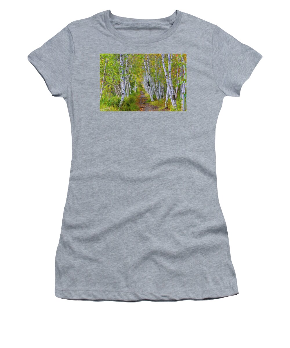 Birch Women's T-Shirt featuring the photograph Avenue of Birches by Nancy Dunivin
