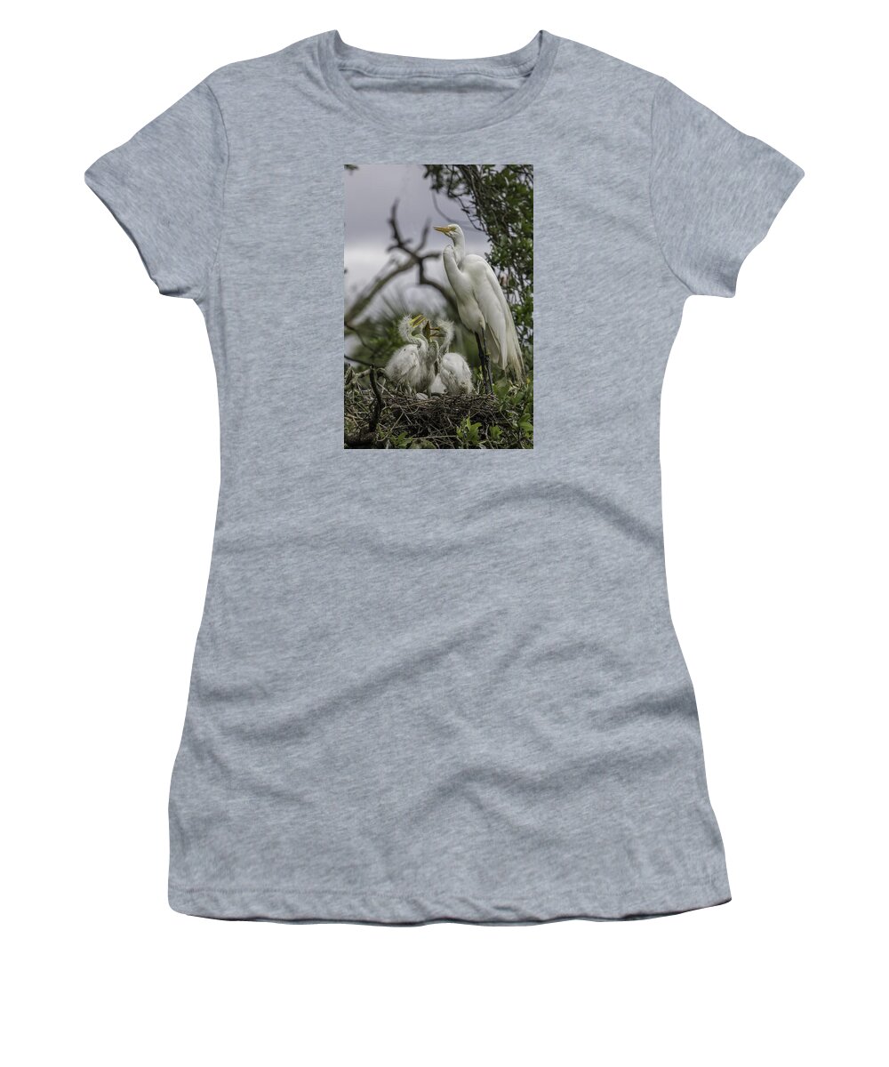 Great White Heron Women's T-Shirt featuring the photograph Babies in the Nest by Dorothy Cunningham