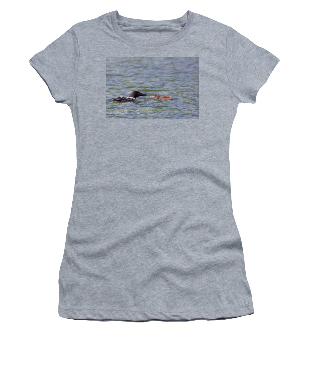 Baby Loon Women's T-Shirt featuring the photograph Feeding Time by Nancy Dunivin