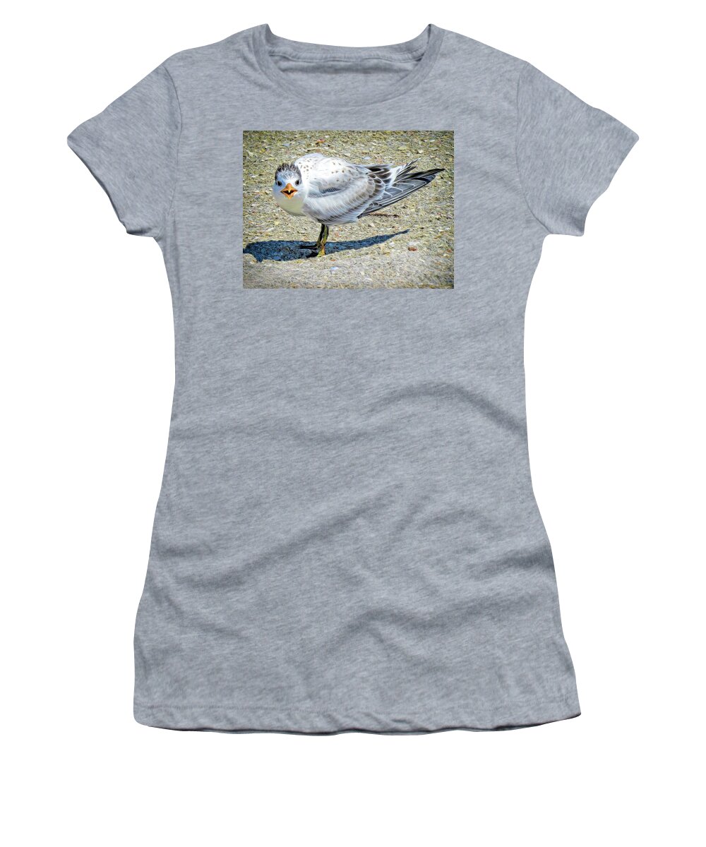Royal Tern Women's T-Shirt featuring the photograph Baby Royal Tern by A H Kuusela