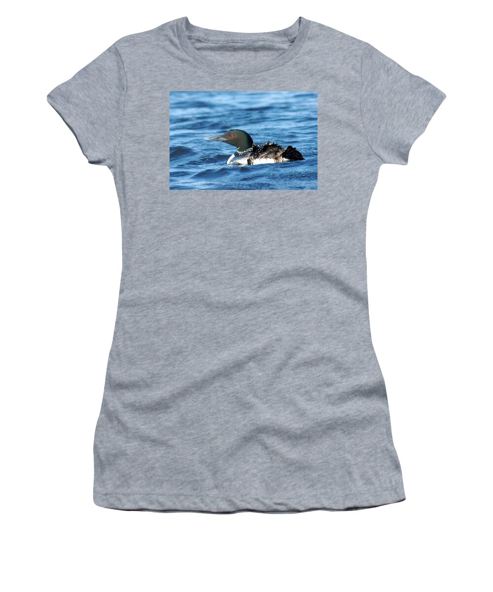 Common Loon Women's T-Shirt featuring the photograph Bad Feather Day by Larry Ricker