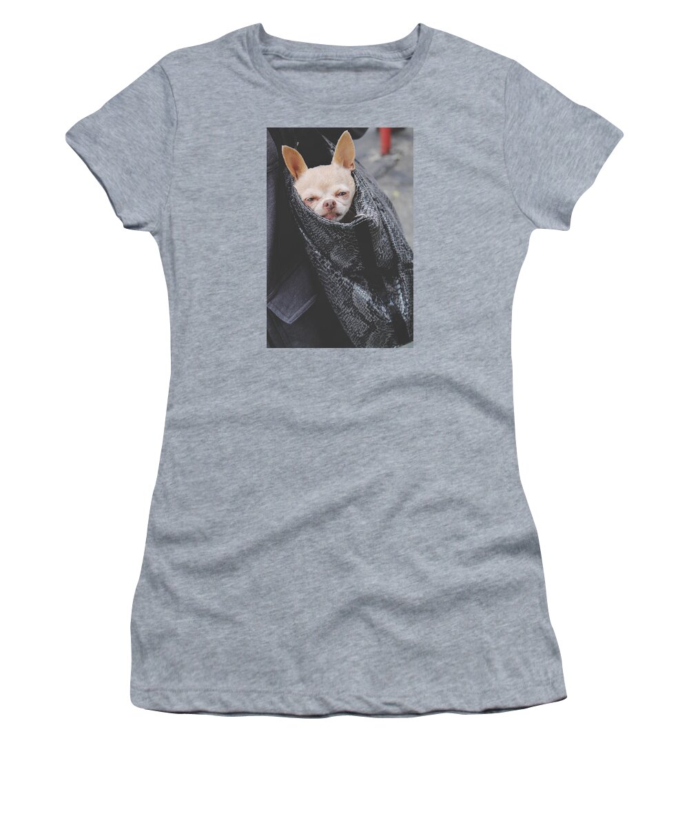 Dogs Women's T-Shirt featuring the photograph Bagged by Laurie Search