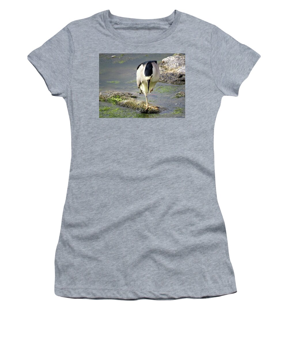 Birds Women's T-Shirt featuring the photograph Balance by Linda Stern